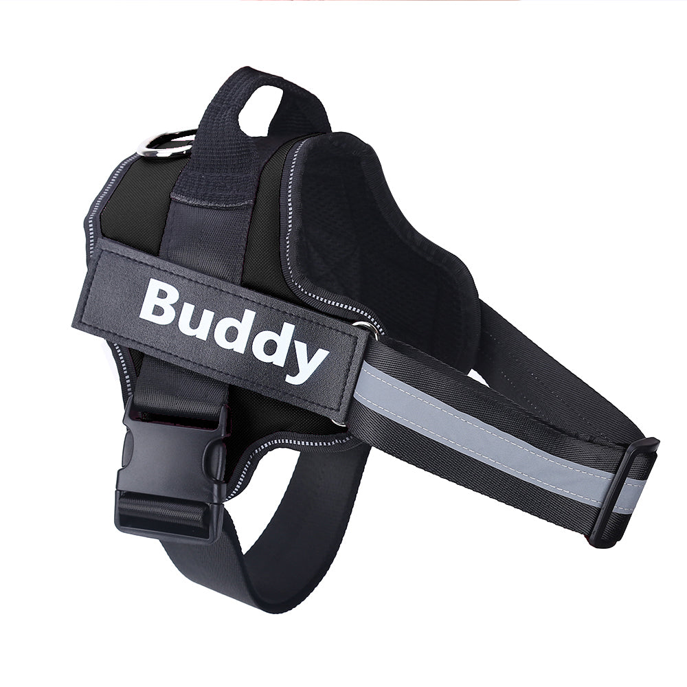 Personalized Reflective Dog Harness