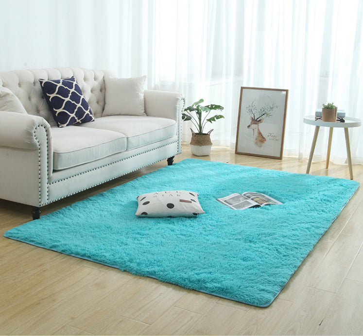 Shaggy Interior Rug