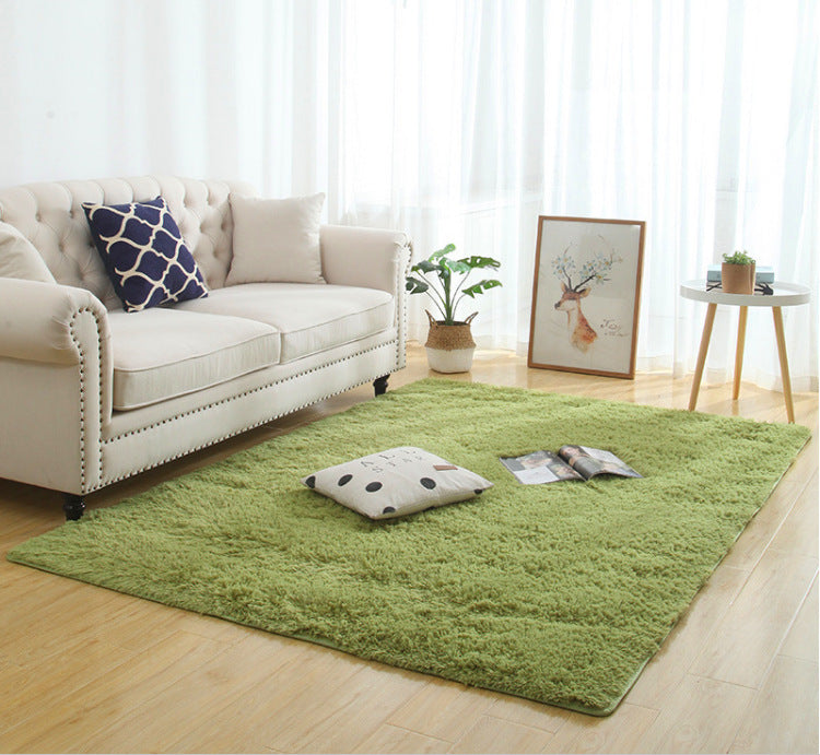 Shaggy Interior Rug