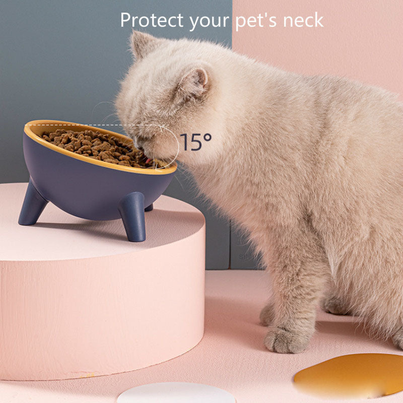 Standing Tilted Pet Bowl