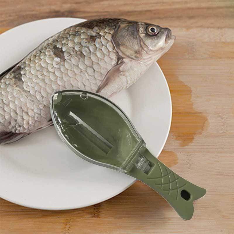 Fischschuppenreibe