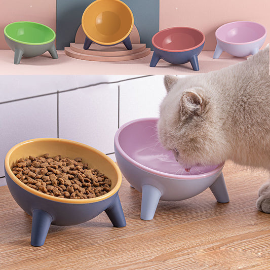 Standing Tilted Pet Bowl